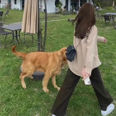 药头